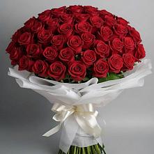 Букет 101 Красная роза Блэк Мэджик в Парабели