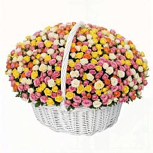 Премиум букет из: Розы в Парабели