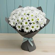 Букет цветов из:  Хризантемы #REPLACE_PRED# Парабели