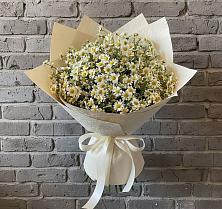 Букет цветов из:  Ромашки в Парабели