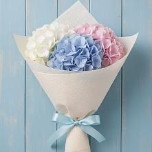Букет цветов из:  Гортензия в Парабели