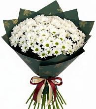 Букет цветов из:  Хризантемы в Парабели