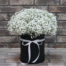 Цветочная композиция из Гипсофила в шляпной коробке в Парабели