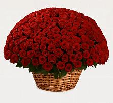 Премиум букет из: Розы в Парабели